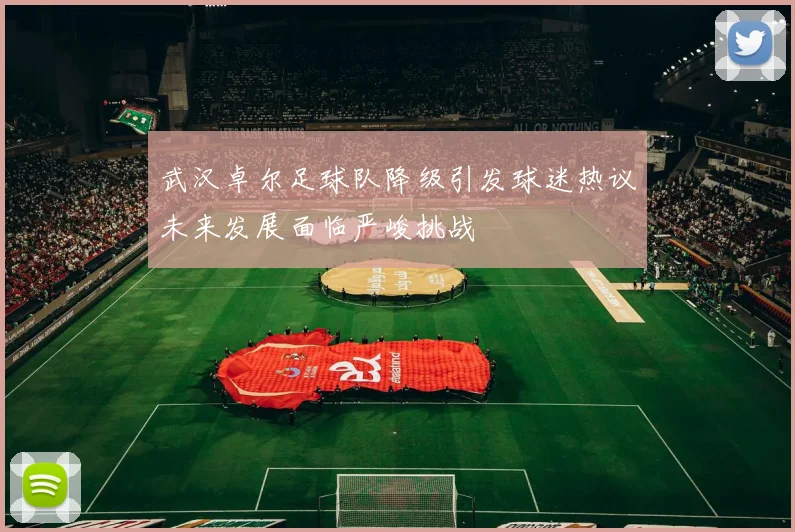 武汉卓尔足球队降级引发球迷热议未来发展面临严峻挑战