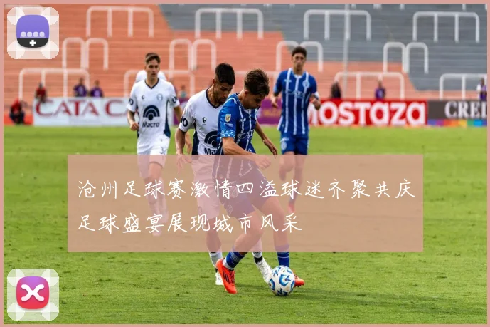 沧州足球赛激情四溢球迷齐聚共庆足球盛宴展现城市风采